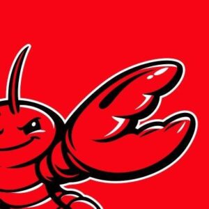 OpenClaw Clawpatch：AI 代码审查工具，自动修 Bug 并提交 PR-枫选